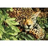 Dimensions Gold Collection Counted Cross Stitch Kit 16"X11"-Leopard In Repose - 2 of 2