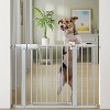 BabyBond 27-43 Inches Baby Gate for Stair and Doorway,with Extenders and Pressure/Hardware Mounting Kit, 30" Tall - 3 of 4