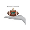 Old World Christmas Glass Blown Ornament for Christmas Tree, Florida Football - 3 of 3