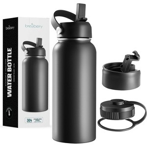 Brewberry Insulated Water Bottle and Travel Mug for Hot and Cold Beverages - 1 of 4