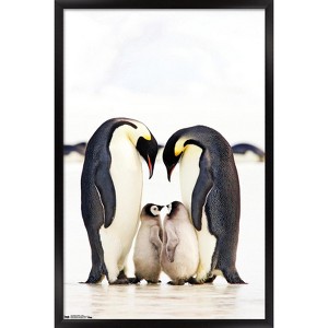 Trends International A Group Of Emperor Penguins Framed Wall Poster Prints - 1 of 4