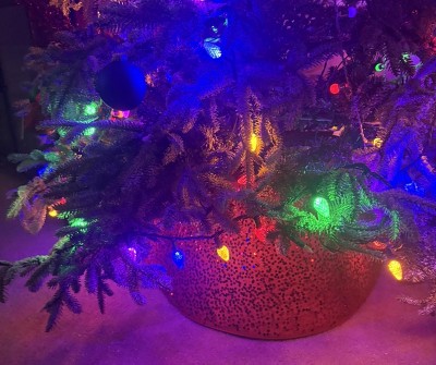 Guest review image 1 of 1, zoom in