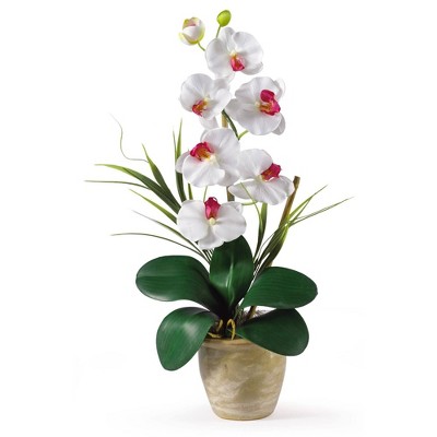 Dark Pink Silk Phalaenopsis Orchid in Ceramic Pot