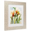 Trademark Fine Art Sheila Golden Birds of Paradise Matted Framed Art - 3 of 4