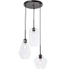 Elegant Lighting Gene 3 light Black and Clear glass pendant - 4 of 4