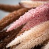 Sullivans Artificial 35.5" Tall Desert-Hued Grass Plumes - Set of 3 - 2 of 3