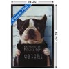 Trends International Lucia Heffernan Art - Boston Mug Shot Framed Wall Poster Prints - 3 of 4
