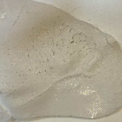 Guest review image 2 of 2, zoom in