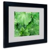 Trademark Fine Art -Kathie McCurdy 'Water Droplets' Matted Framed Art - 2 of 3