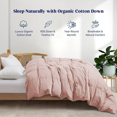 Puredown All Season 100% Organic Cotton Down Duvet Insert Medium Warmth Comforter