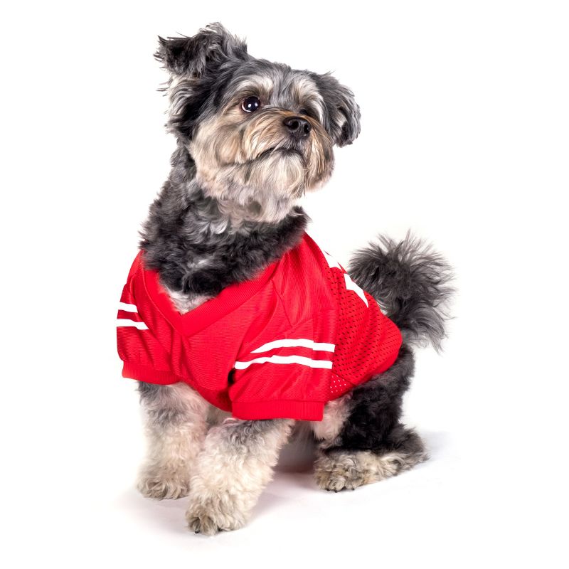 The License House Ohio State Buckeyes Dog Logo Jersey, 4 of 5