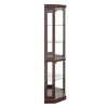 Syemin Decorative Storage Cabinets Corner Curio Cabinet, Collectibles Display Case, Glass Storage Cabinets, Red, 15.31"*15.31"*69.84" - 4 of 4