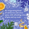 Native Holiday Limited Edition Sulfate-Free Body Wash - Alpine Air - 18 fl oz - 2 of 4