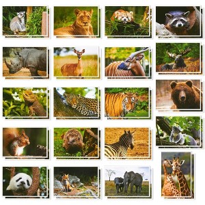 Best Paper Greetings Wild Animal Postcards – 40 Postcards – Bulk Set - Featuring Tigers, Bears, Giraffes, Elephants, & More – 4 x 6 Inches - 1 of 4