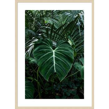 30"x41" Tropical Leaf 3 by PhotoINC Studio Wood Framed Wall Art Print Brown - Amanti Art