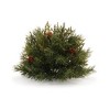 Pine Half Orb with Pinecones (Set of 2) - 3 of 3