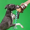 ZEZE Shuala Sloth Crinkle Rope Toy-Brown - 4 of 4
