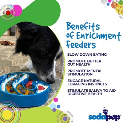 Blue Wave Design Slow Feeder Enrichment Dog Bowl