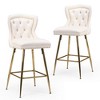 Ridstar Set of 2 Velvet Bar Stool with Metal Legs, Button Tufting & Tassel Trim-Beige - 3 of 4