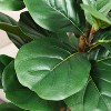 Tree City 6 Ft Faux Fiddle Leaf Fig Tree–Artificial Ficus Tree with 69 Realistic Leaves–Tall Fake Tree for Indoor&Outdoor Home Decor - 3 of 3