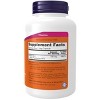 B-6 100mg by Now Foods  -  250 Capsule - 2 of 3