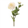 Dahlia Flower Stem (Set of 6) - 2 of 2