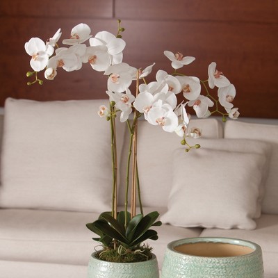 White Faux Phalaenopsis Orchid Potted Tabletop Decor, 31"