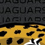 jacksonville jaguars