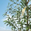6FT 2pcs Artificial Olive Tree with Planter & Basket, Tall Faux Olive Trees for Indoor Home Decor - 2 of 4
