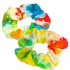 Rainbow Tie-Dye Lab - 4 of 4