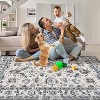 Area Rug, Thin Washable, Lightweight Vintage, Machine Washable, Stain Resistant, Anti-Slip, Living Room, Bedroom. - 3 of 4