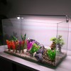Unique Bargains Aquarium Plastic Plants Tree for Fish Tank Landscape Decoration 2 Pcs - 2 of 4