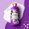 Beloved Candied Lilac & Blackberry Shower & Bath Gel - 11.8 fl oz - 3 of 4