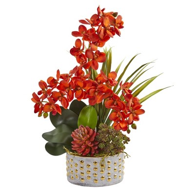 Nearly Natural 21-in Autumn Phalaenopsis Orchid and Succulent Artificial Arrangement
