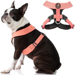 Gooby Comfort X Harness Dual Snap, Pink, X - 1 of 1