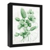 Creative Products Clover Graphic Botanical 12.73 x 15.73 Black Framed Canvas - 2 of 4