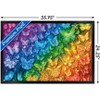 Trends International Brigid Ashwood - Rainbow Butterflies Framed Wall Poster Prints - 3 of 4