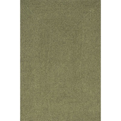 Nuloom Wynn Braided Indoor/Outdoor Area Rug
