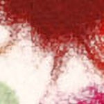 poppies red