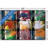 Trends International Naruto Shippuden - Biju Grid Unframed Wall Poster Prints - 3 of 4