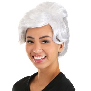 HalloweenCostumes.com One Size Fits Most  Women  Disney's Cinderella Fairy Godmother Wig, Gray - 1 of 4