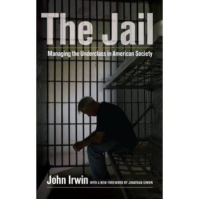 The Jail - by  John Irwin (Paperback)