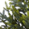5ft. Fir Look Artificial Christmas Tree with 200 Clear LED Lights, Burlap Base & 853 Branches – Rustic Holiday X-Mas Tree - 4 of 4