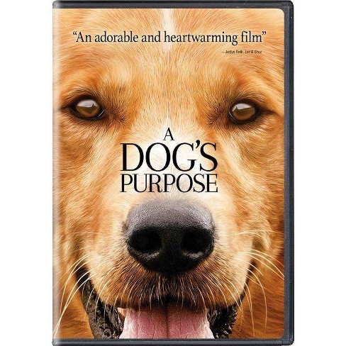 A Dog's Purpose (DVD) - image 1 of 1