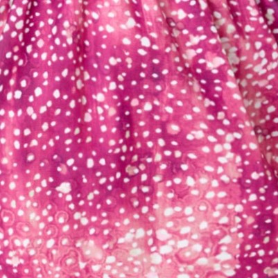 raspberry burst