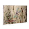 Trademark Fine Art-Jade Reynolds 'Dancing Dragonflies I' Floating Brushed Aluminum Art - 2 of 3