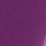plum purple