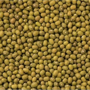 Woodstock Farms Organic Mung Beans - 25 lb - 1 of 3