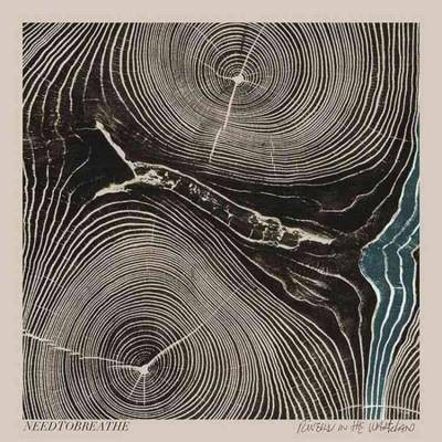 NEEDTOBREATHE - Rivers in The Wasteland (Vinyl)