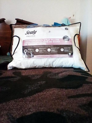 Sealy Maternity Pillow : Page 38 : Target